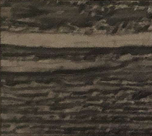 Black Hills Lap Siding Color