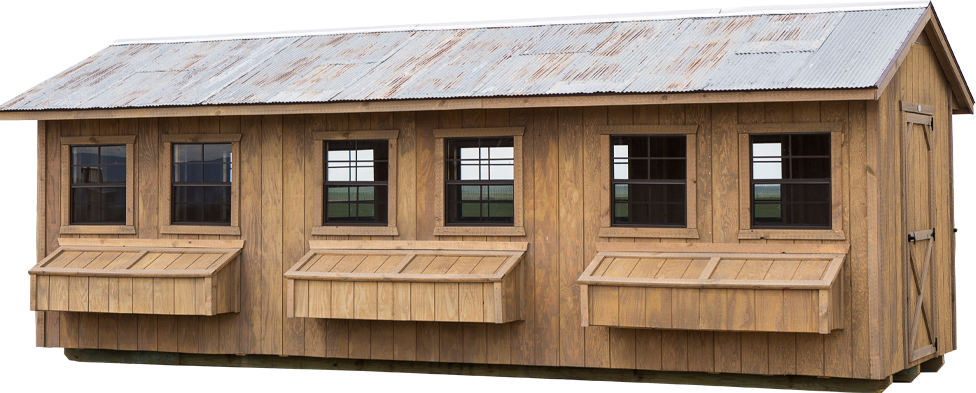 Chicken Coop