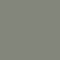 Light Gray Light Gray